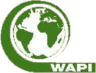 A logo of wapi with a globe in green color with transparent background